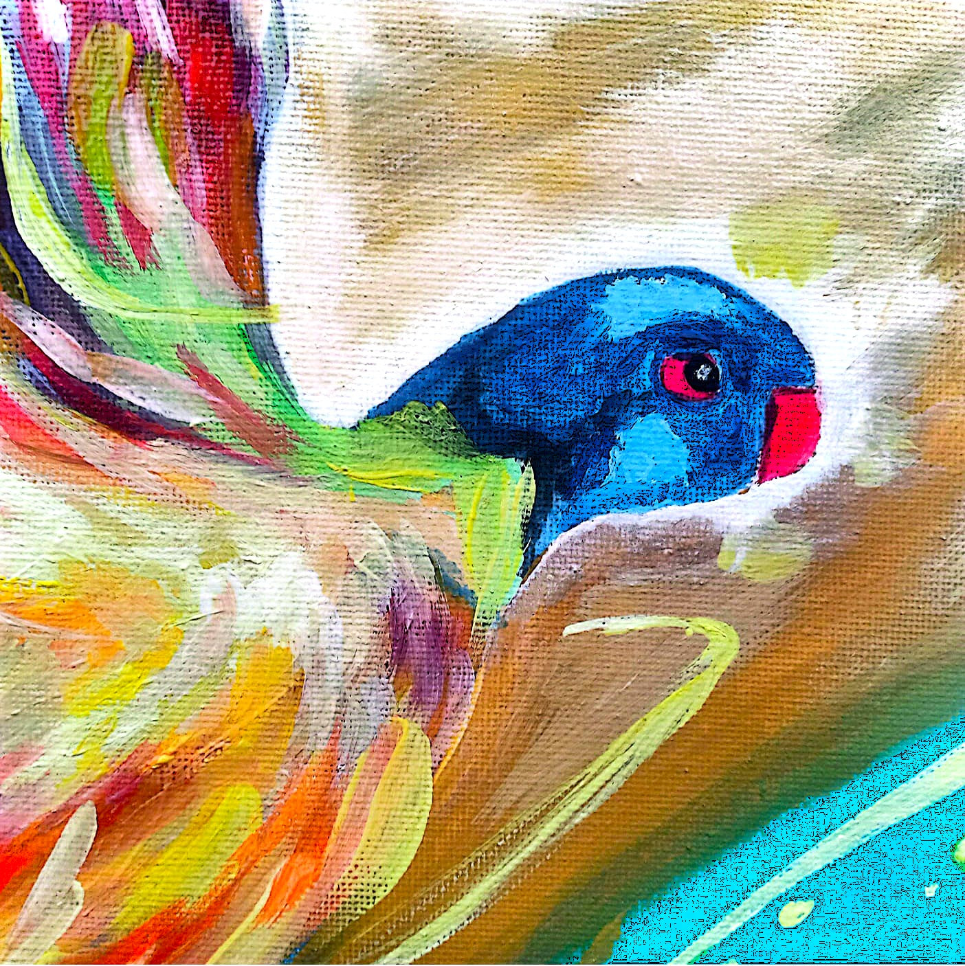 blue golden bird